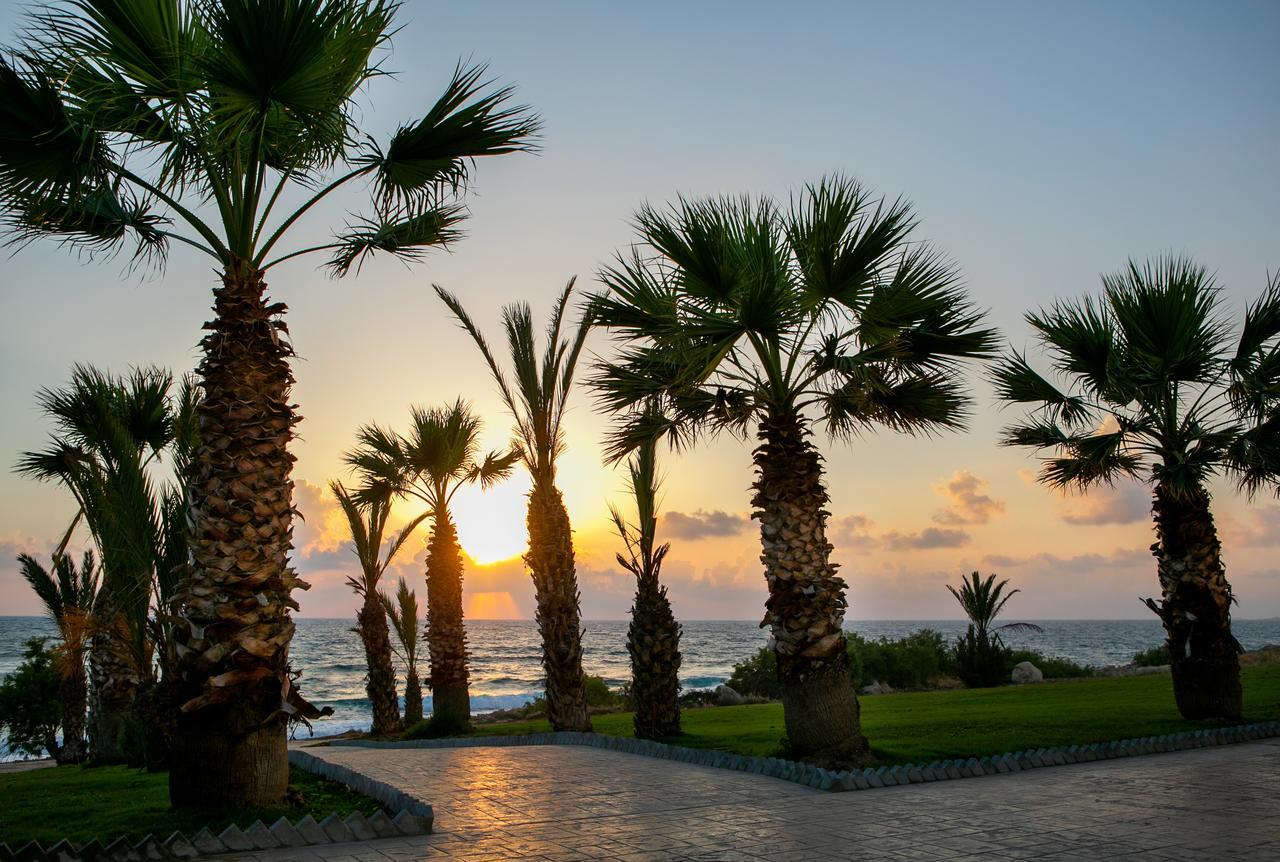 Louis Paphos Breeze Hotel Klorakas Bagian luar foto